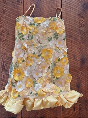 Yellow Fairycore Floral Appliqué Mini Dress with Ruffle Hem
